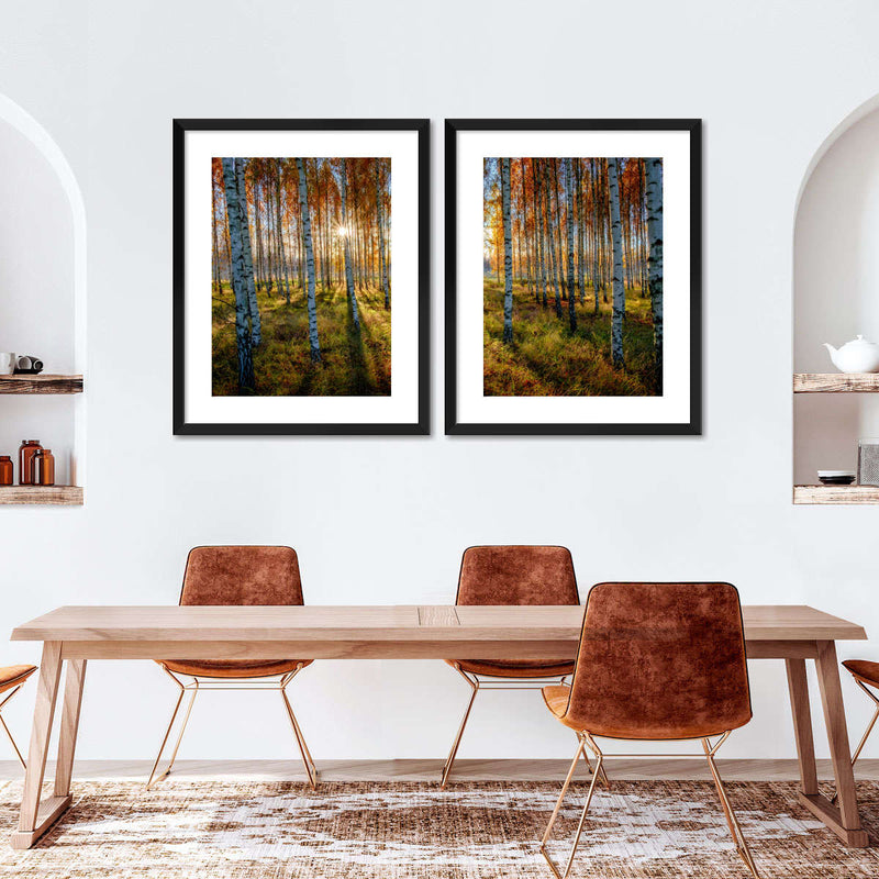 Swedish Birch Forest Wall Art