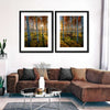 Swedish Birch Forest Wall Art