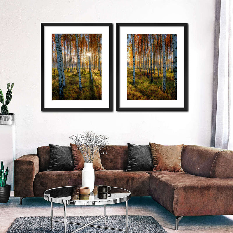 Swedish Birch Forest Wall Art