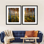Swedish Birch Forest Wall Art