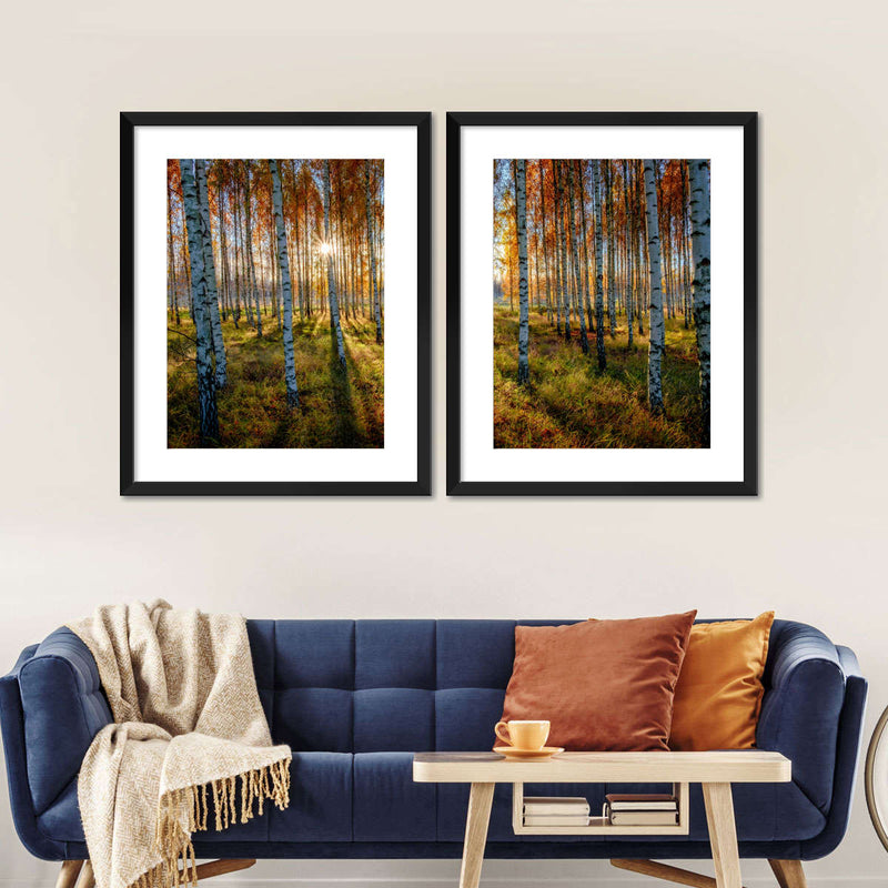Swedish Birch Forest Wall Art