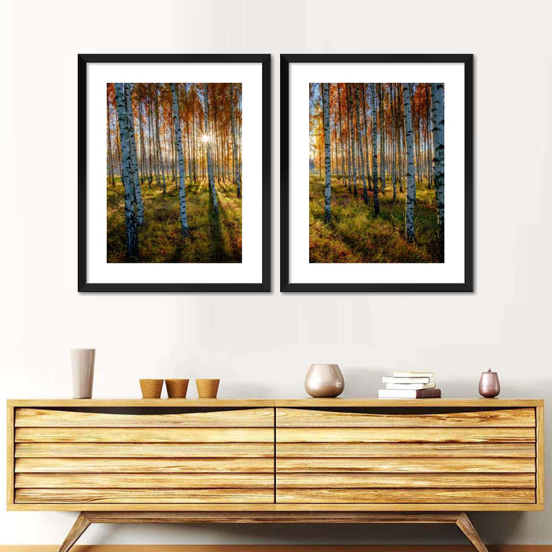 Swedish Birch Forest Wall Art