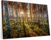Swedish Birch Forest Wall Art