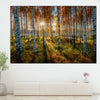 Swedish Birch Forest Wall Art