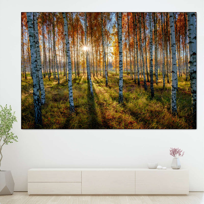 Swedish Birch Forest Wall Art