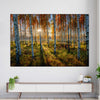 Swedish Birch Forest Wall Art