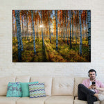 Swedish Birch Forest Wall Art