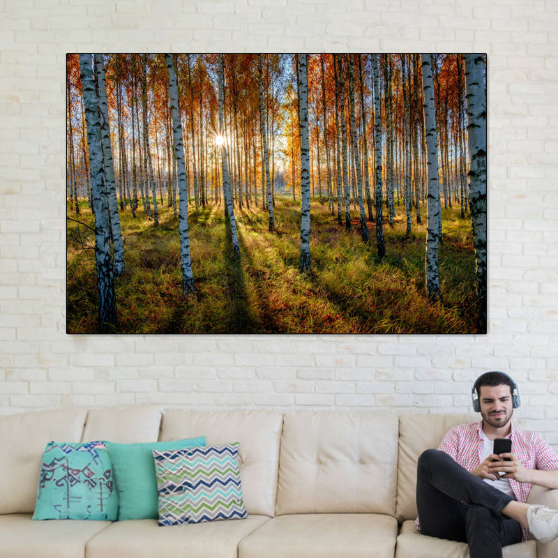Swedish Birch Forest Wall Art