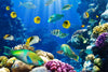 Underwater Sea Creatures Wall Art