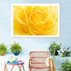 Yellow Rose Petals Wall Art