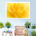Yellow Rose Petals Wall Art