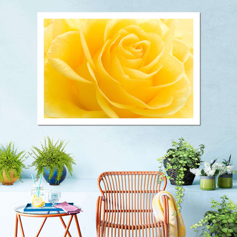 Yellow Rose Petals Wall Art