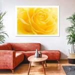 Yellow Rose Petals Wall Art