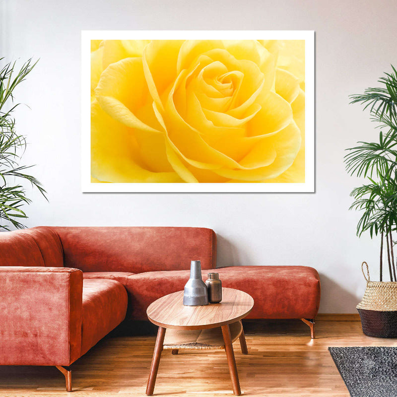 Yellow Rose Petals Wall Art