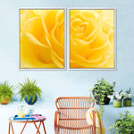 Yellow Rose Petals Wall Art