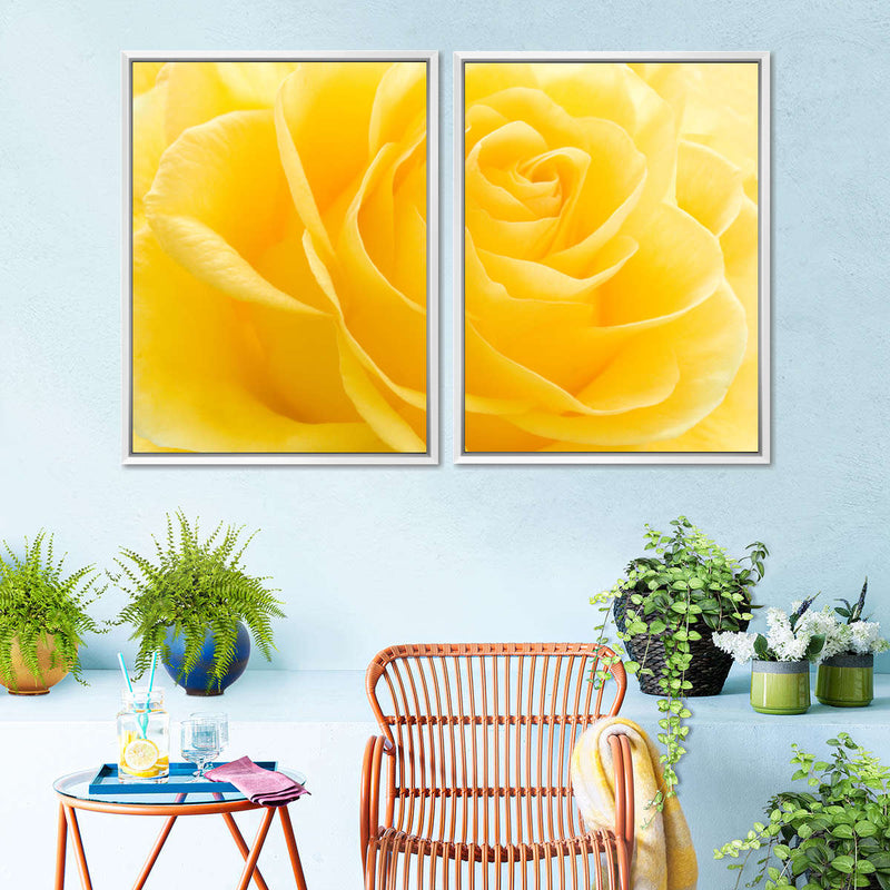 Yellow Rose Petals Wall Art
