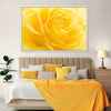 Yellow Rose Petals Wall Art