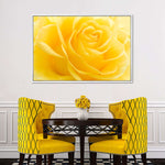 Yellow Rose Petals Wall Art