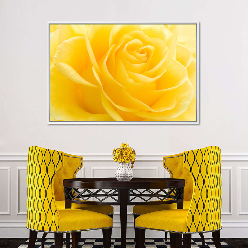 Yellow Rose Petals Wall Art