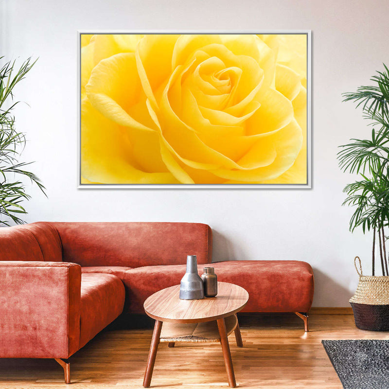 Yellow Rose Petals Wall Art
