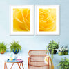 Yellow Rose Petals Wall Art