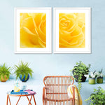Yellow Rose Petals Wall Art