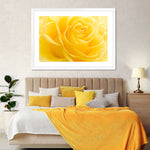 Yellow Rose Petals Wall Art