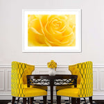 Yellow Rose Petals Wall Art
