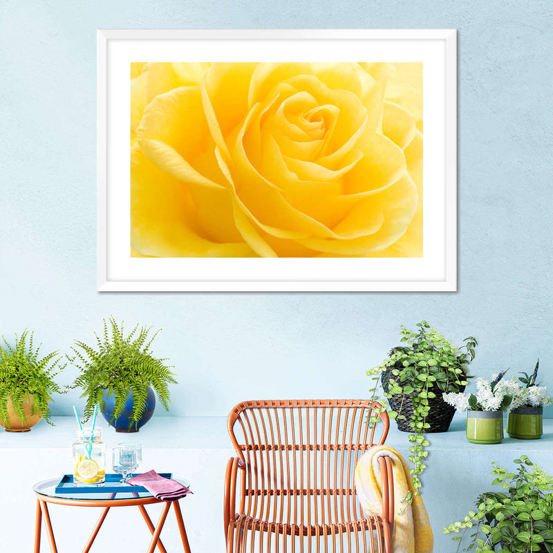 Yellow Rose Petals Wall Art