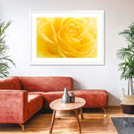 Yellow Rose Petals Wall Art