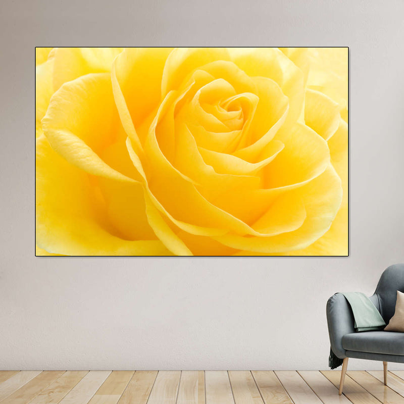Yellow Rose Petals Wall Art