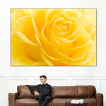 Yellow Rose Petals Wall Art