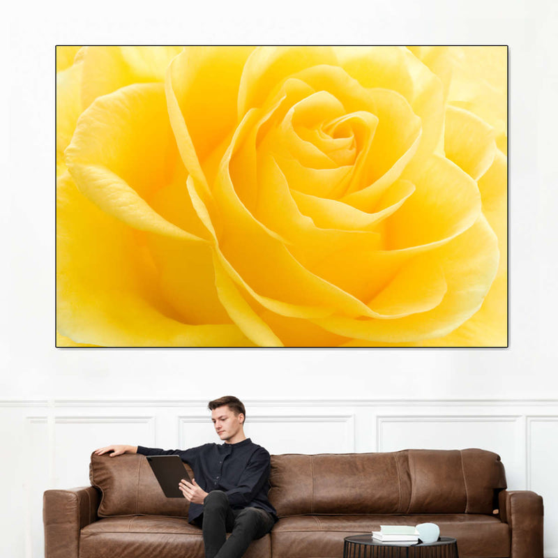 Yellow Rose Petals Wall Art