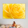 Yellow Rose Petals Wall Art
