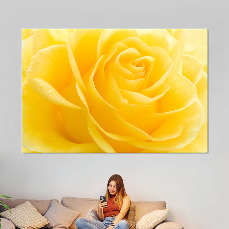 Yellow Rose Petals Wall Art