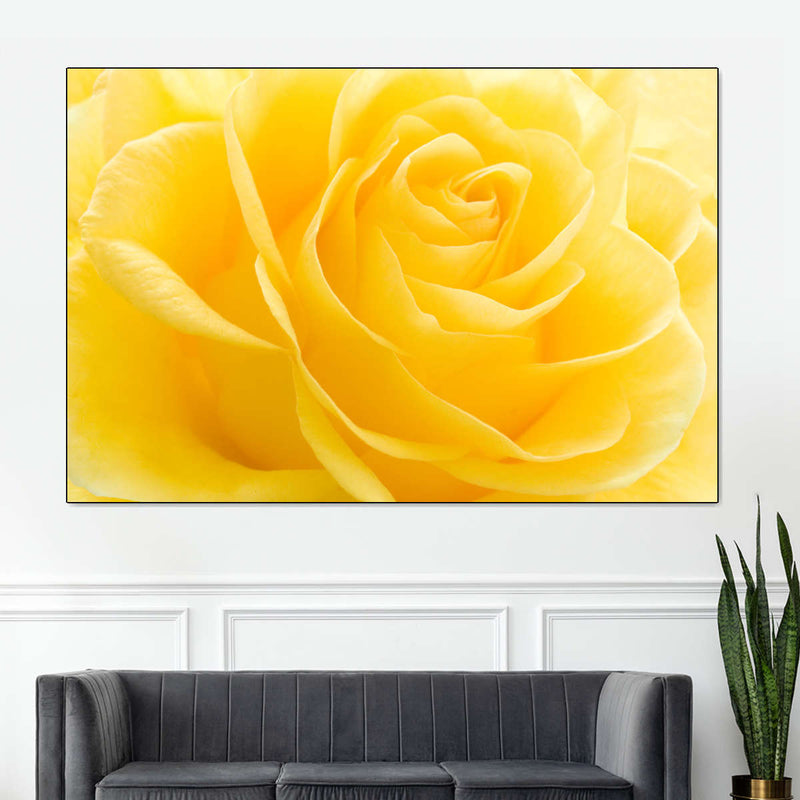Yellow Rose Petals Wall Art