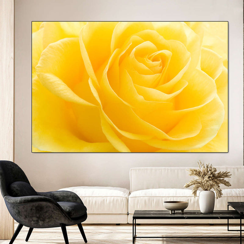 Yellow Rose Petals Wall Art