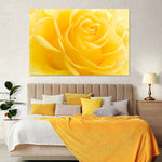 Yellow Rose Petals Wall Art