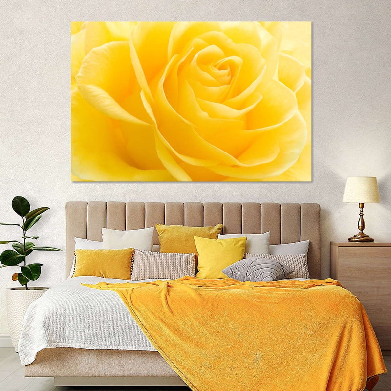 Yellow Rose Petals Wall Art