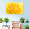 Yellow Rose Petals Wall Art