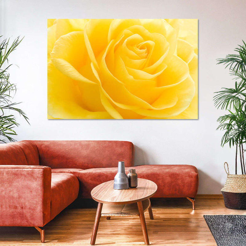 Yellow Rose Petals Wall Art