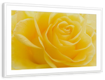 Yellow Rose Petals Wall Art