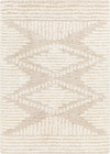 Igor Shag Area Rug