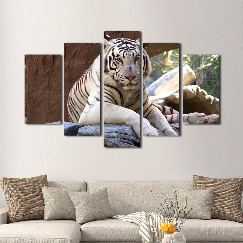 Resting White Tiger Wall Art