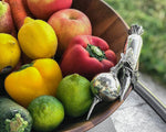 Garden Veggie Salad Serving Bowl