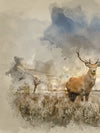 Vintage Stag Wall Art