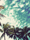 Vintage Style Palm Trees Wall Art