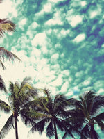 Vintage Style Palm Trees Wall Art