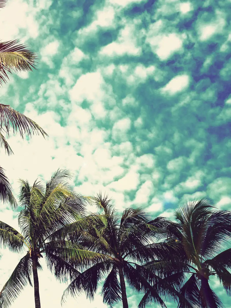 Vintage Style Palm Trees Wall Art