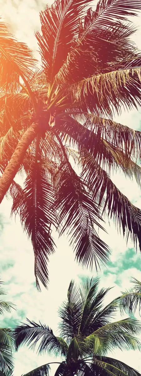 Vintage Style Palm Trees Wall Art